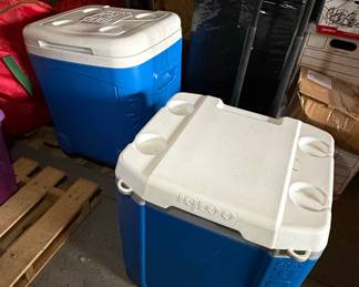 Igloo Cooler