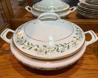 Princess China "Bridal Wreath" China Set
