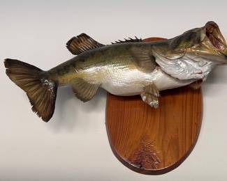 Largemouth Bass Taxidermy Mount