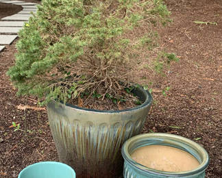 Lot 22: 3 Larger Ceramic Pots