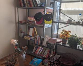 books, records, LPs, hats, household decoration, flowers, pet supplies, picture frames, glassware