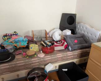 pet supplies, mattress and box spring, headboard, dresser with mirror, purses, 