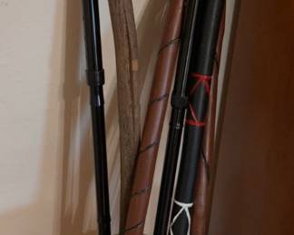 walking sticks