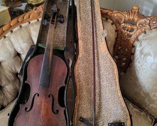 Violin