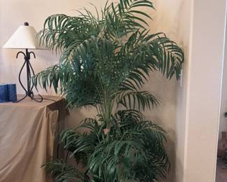 Faux Plant Fake Plant