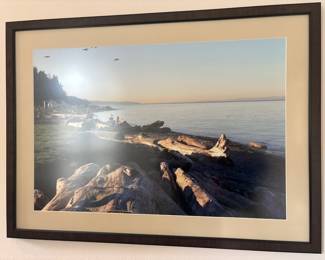 Framed & Matted Coastal Scene Photography Print