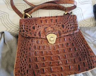 Brahmin Purse