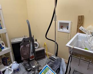 vacuum and clothes steamer