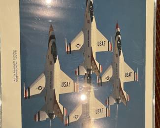 USAF Thunderbirds