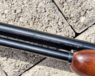 Rossi 22 Magnum Pump 3 DAY WAIT