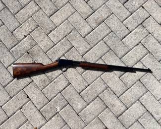 Rossi 22 Magnum Pump 3 DAY WAIT