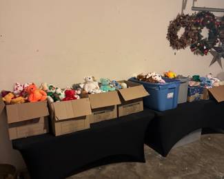 TY Beanie Babies Collection