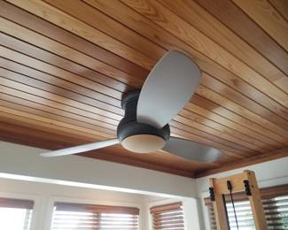 Lighted ceiling fan - multiple units available