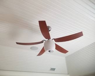 Lighted ceiling fan