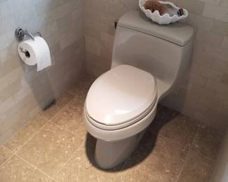 Kohler commode