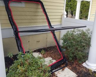 Portable lacrosse rebounder