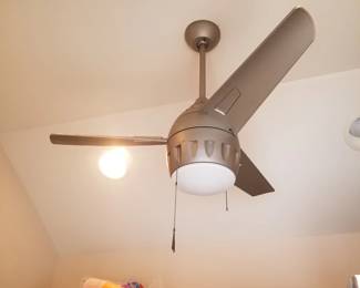 Lighted ceiling fan