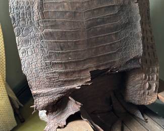 Crocodile skin