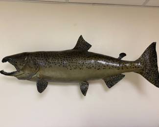 Vintage King Salmon Fish Mount 