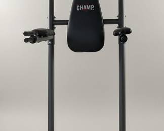 CHAMP Home Multi-Gym Pull-Up Station with Punching Bag