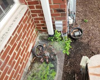 1395Back Yard