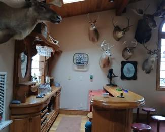 More animals, bar stuff and cool moose picture