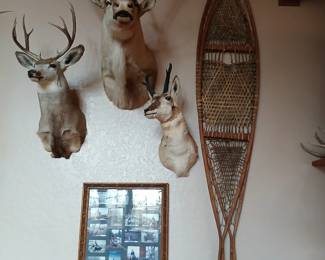 L.L.Been early snowshoes wall displays from store! Rare! White tail, antelope and Caribou