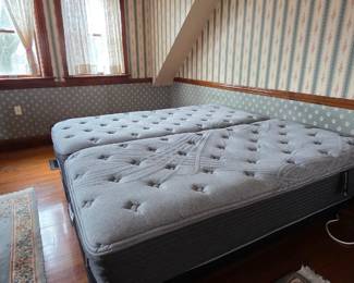 More pictures to come. All will be posted by April 15