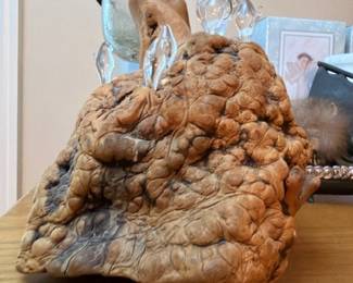 Natural burl wood decorative sculpture