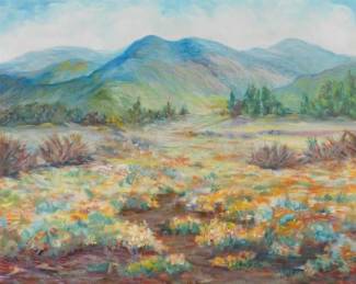 Vanness 20th Century