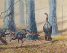 Doug Pifer American, Contemporary 