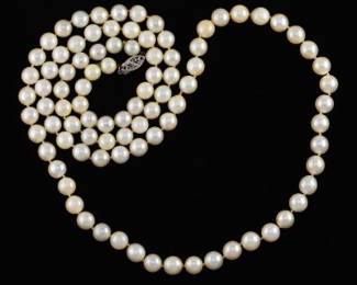 Ladies Gold and Pearl Opera Length Necklace 