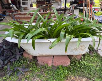 Vintage clawfoot bathtub repurposed as a rustic planter. The original faucet fixture remains in place, adding a decorative element. 