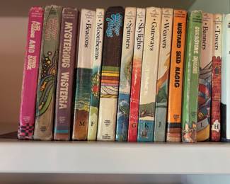 A collection of vintage mid 20th century children’s literature books from The Economy Company reading series and Houghton Mifflin eductional series 