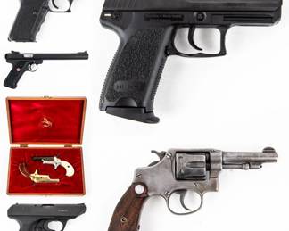 Firearms and Gun Accessories 