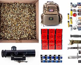 Firearms and Gun Accessories 