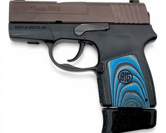 Sig Sauer P290RS 9mm Subcompact Pistol w/ Extended Magazine & Custom Grip