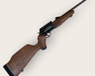 Taurus Circuit Judge .45/.410