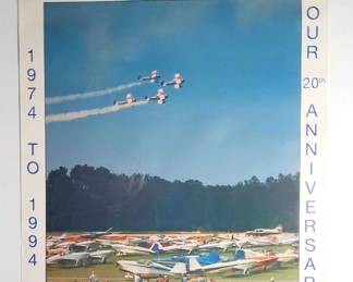 DW534 International Aviation Convention Sunn Fun 94 Poster