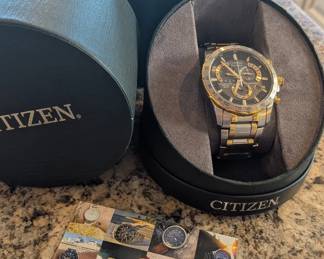Citizen Men's Eco-Drive Perpetual Chrono A-T watch, model AT4004-52E. 