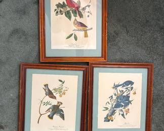 Trio of  Bird Prints