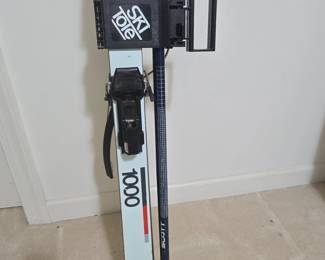 PRE The Ski Tale Skis with Scott Poles third image
