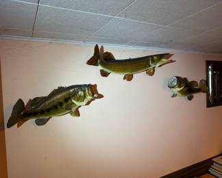 basement to the right then right wall