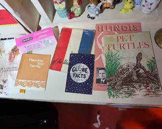 bottom of basement stairs on ledge