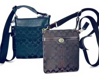 Two Coach Satchels