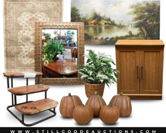 rugs, furniture, pet supplies, artwork, paintings, toys, & much more!