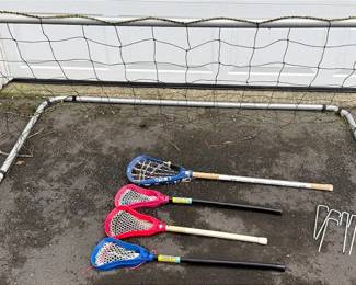 Lacrosse Sticks and Goal