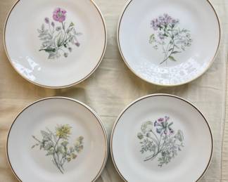 Richard Ginori Primavera salad plates