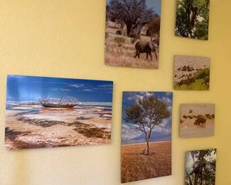 Metal Mounted Photographs