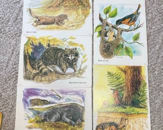 Vintage Wildlife Educational Prints - Mammals & Birds